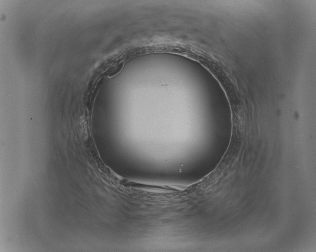 X0000071851493200607141737