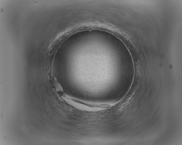 X0000071851494200607141737