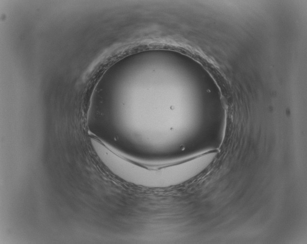 X0000071851495200607141737