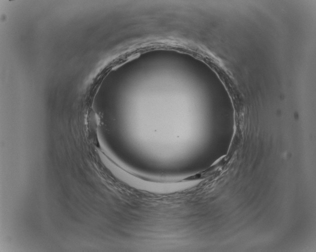 X0000071851496200607141737