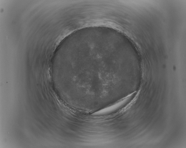 X0000071851497200607141737