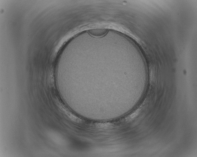 X0000071851498200607141737