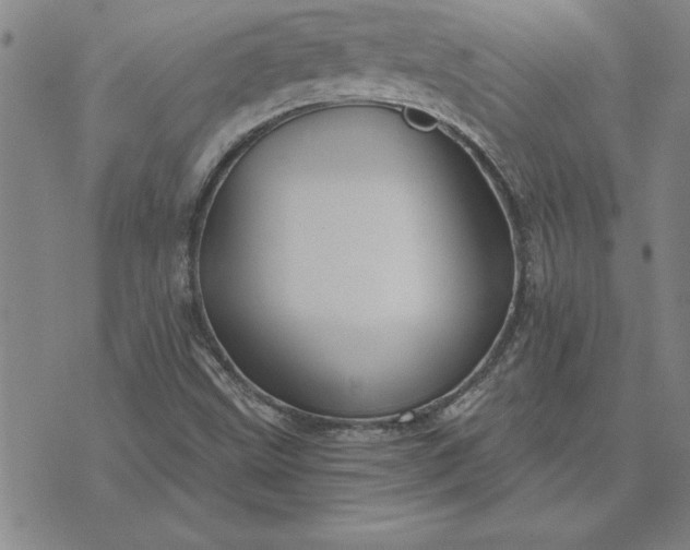 X0000071851499200607141737