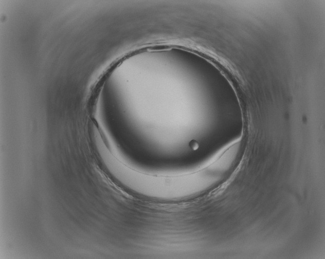 X0000071851502200607141737