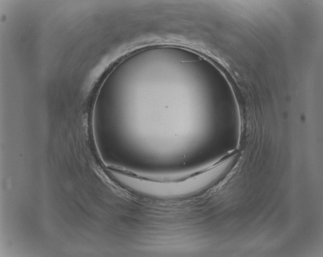 X0000071851503200607141737