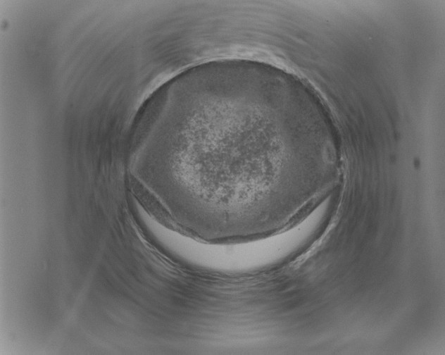 X0000071851505200607141737