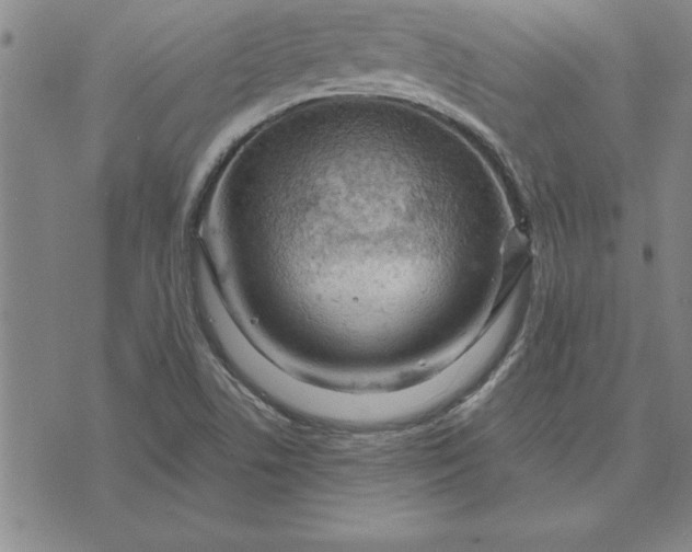 X0000071851506200607141737