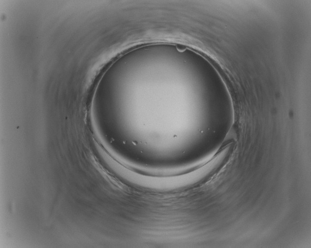 X0000071851507200607141737