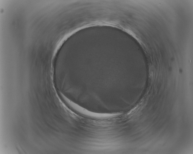 X0000071851508200607141737