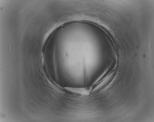 X0000071851509200607141737