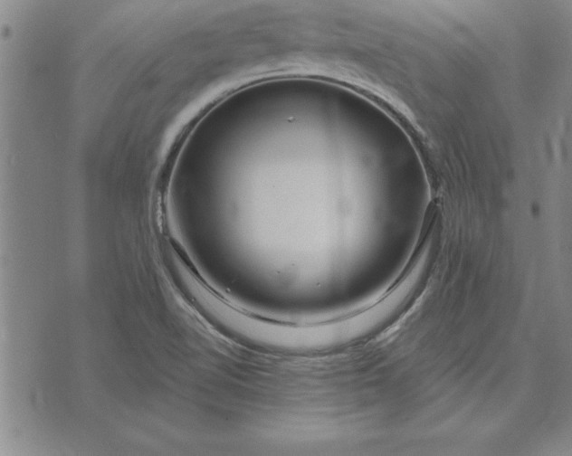 X0000071851510200607141737