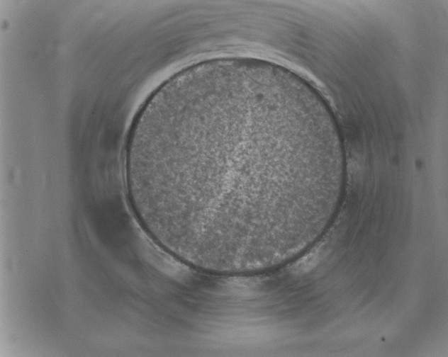 X0000071851514200607141737