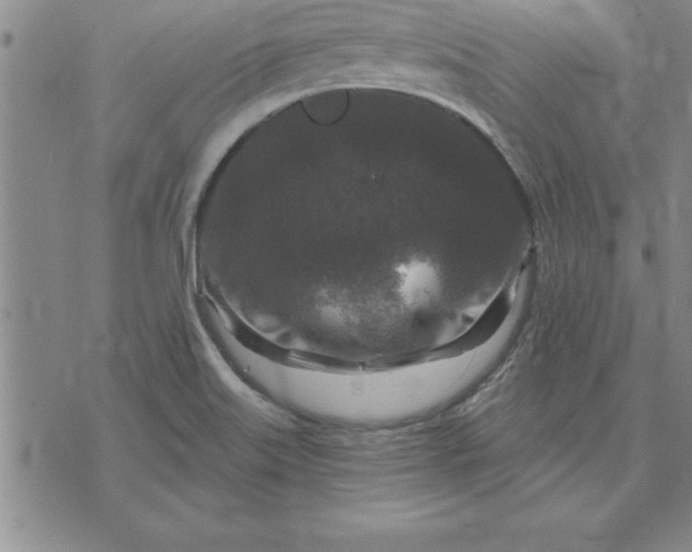 X0000071851515200607141737