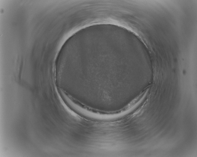 X0000071851519200607141737