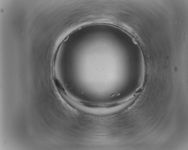 X0000071851520200607141737