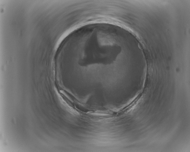 X0000071851522200607141737