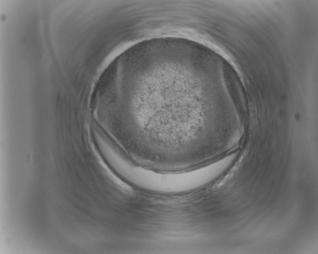 X0000071851525200607141737