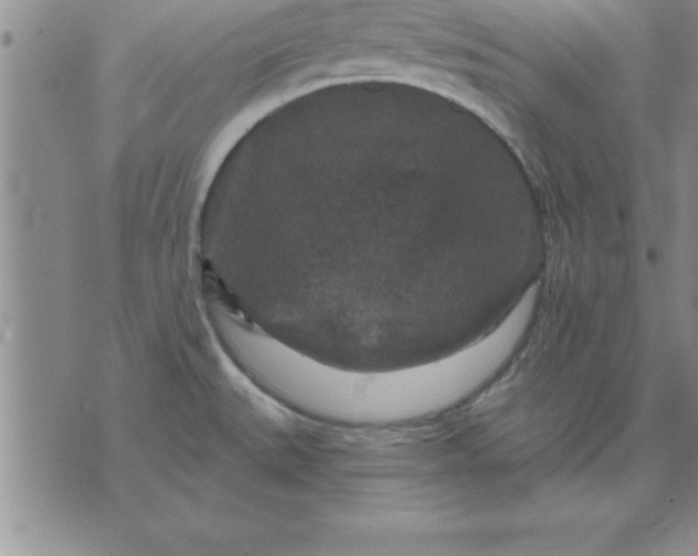 X0000071851527200607141737