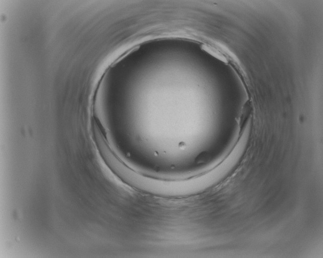 X0000071851528200607141737