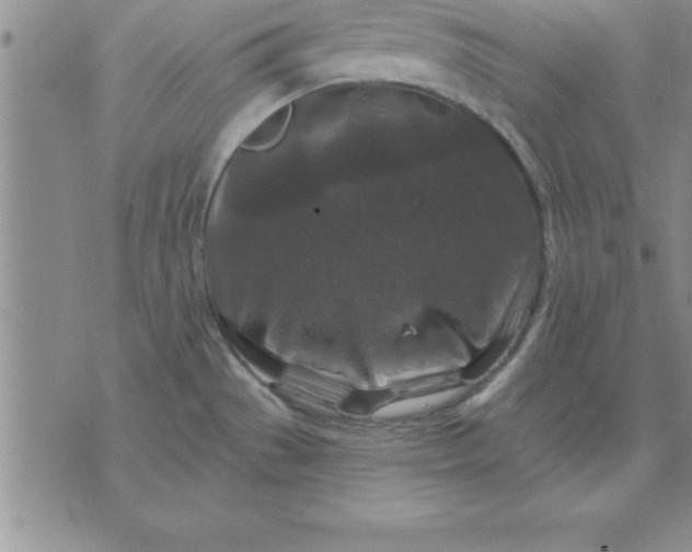 X0000071851529200607141737