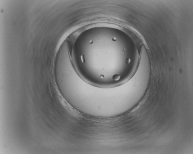 X0000071851530200607141737