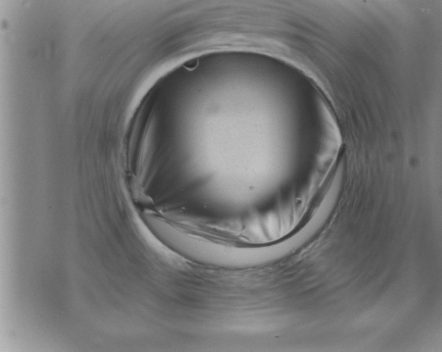 X0000071851531200607141737