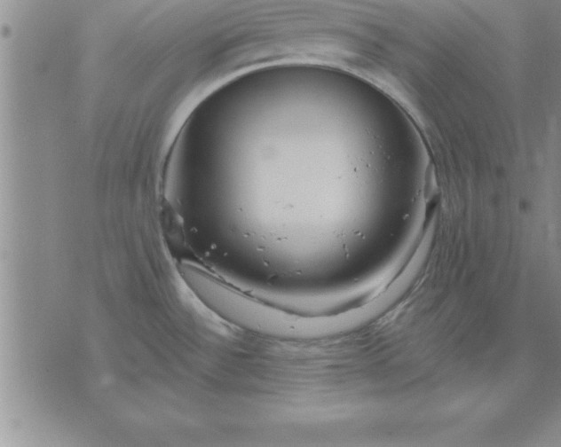 X0000071851532200607141737