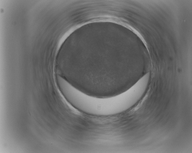 X0000071851533200607141738