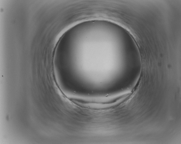 X0000071851534200607141738