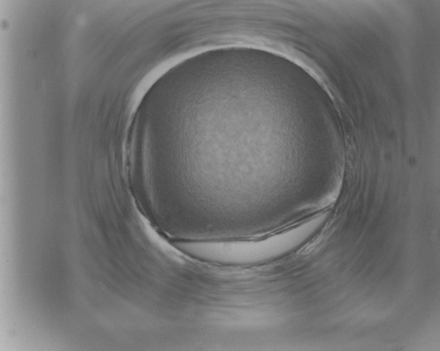 X0000071851535200607141738