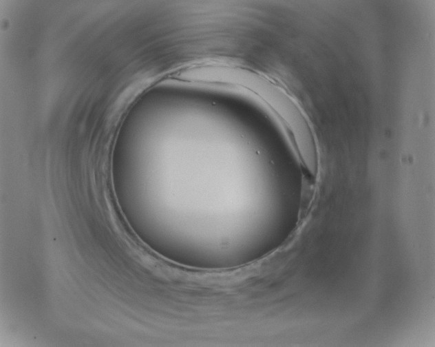 X0000071850001200607211904