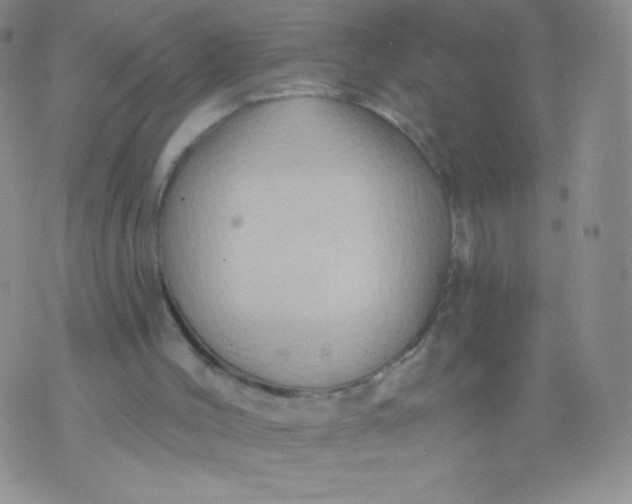 X0000071850004200607211904