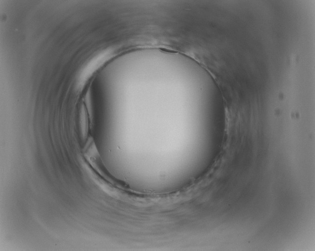 X0000071850005200607211904