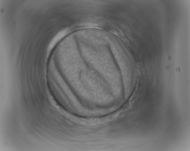 X0000071850006200607211904