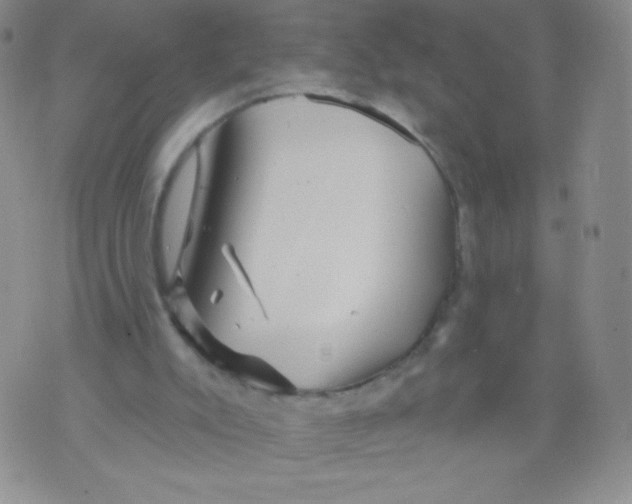 X0000071850007200607211904