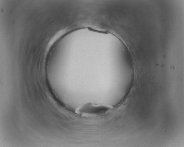 X0000071850008200607211904