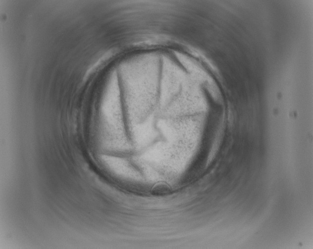 X0000071850010200607211904