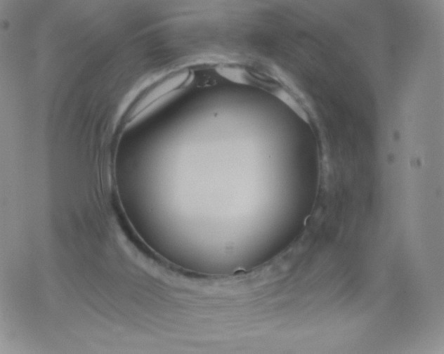 X0000071850011200607211904