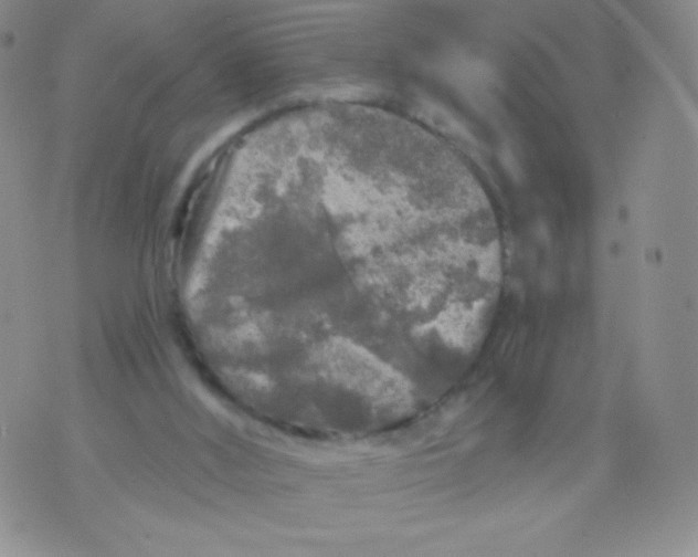 X0000071850012200607211903