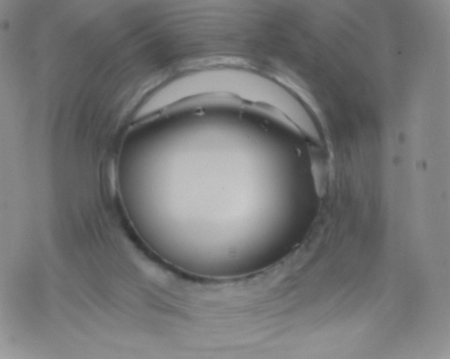 X0000071850013200607211903