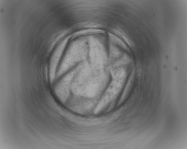 X0000071850014200607211903