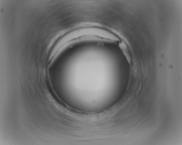 X0000071850015200607211903