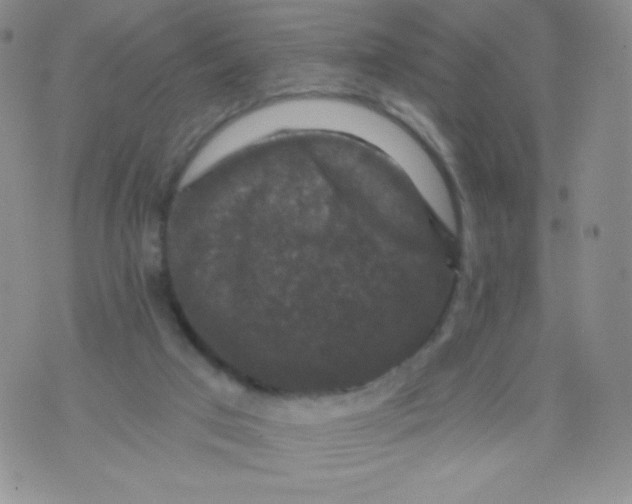 X0000071850017200607211903