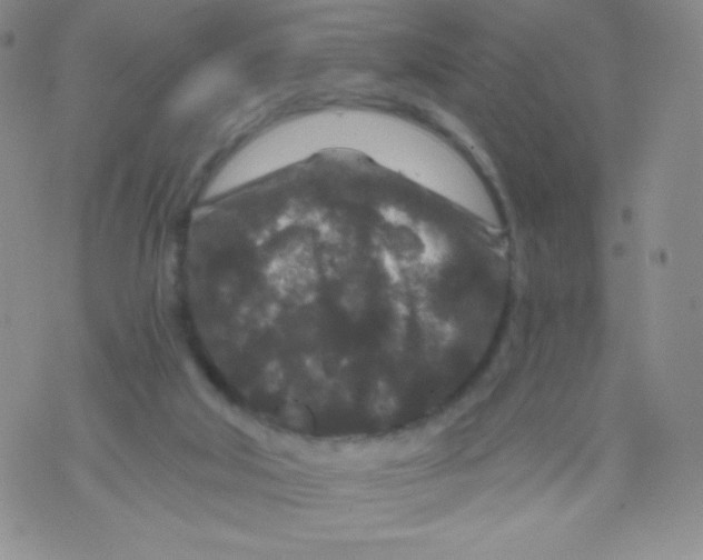 X0000071850018200607211903