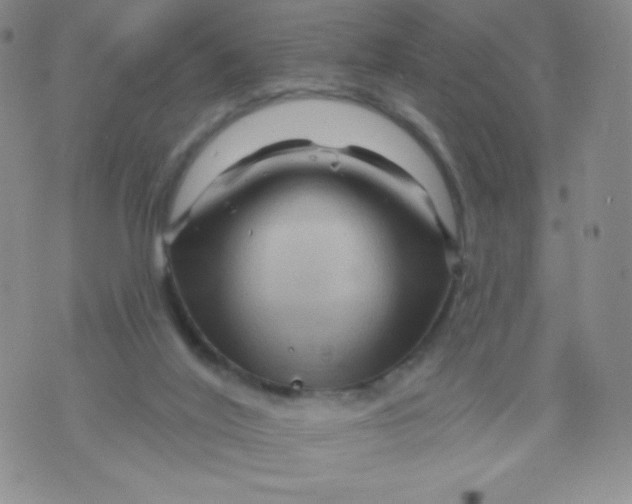 X0000071850020200607211903