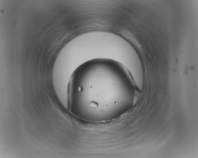 X0000071850021200607211903