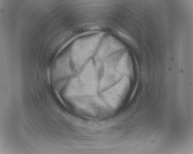 X0000071850022200607211903