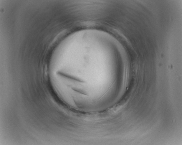 X0000071850024200607211903