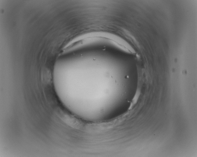 X0000071850025200607211903