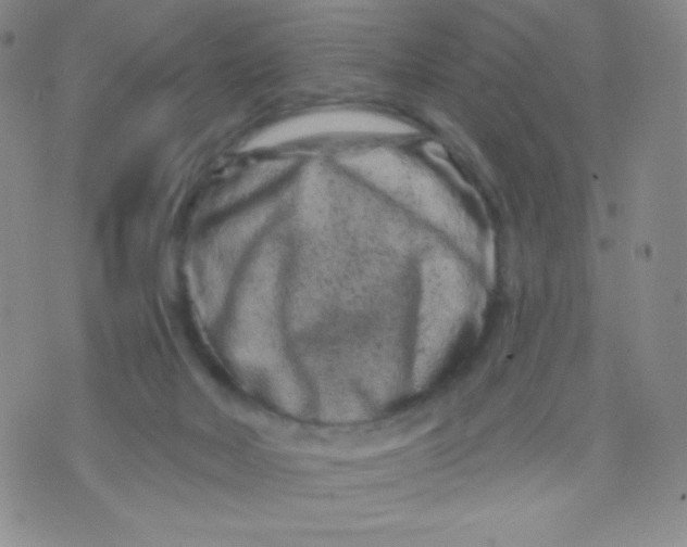 X0000071850026200607211903